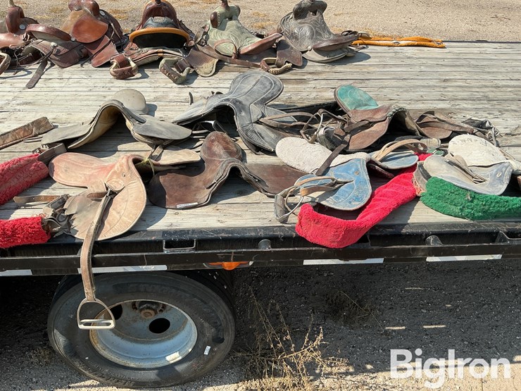 race-horse-training-saddles-image-2