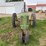 john-deere-b-image-8