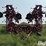 wil-rich-quad-x-image-2