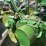 john-deere-g-image-23