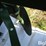 john-deere-71-image-14