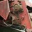 1981-massey-ferguson-860-image-15