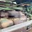 john-deere-b-image-23