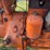 john-deere-mi-image-28