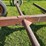 6-bale-trailer-image-9