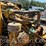 1999-volvo-a25c-image-16