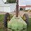 john-deere-b-image-11