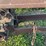 john-deere-b-image-14