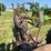 john-deere-b-image-16