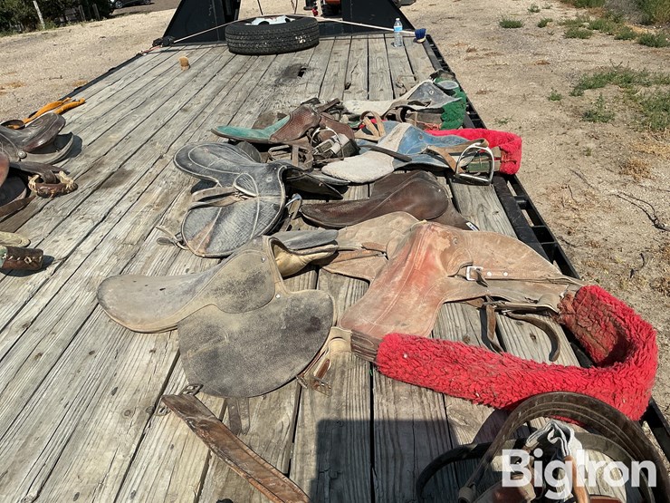 race-horse-training-saddles-image-4