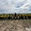 john-deere-1710-image-6