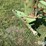 john-deere-5-image-9