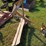 woods-360-image-2
