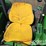 2016-john-deere-5055e-image-35