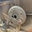 2020-land-pride-rc3615-image-14