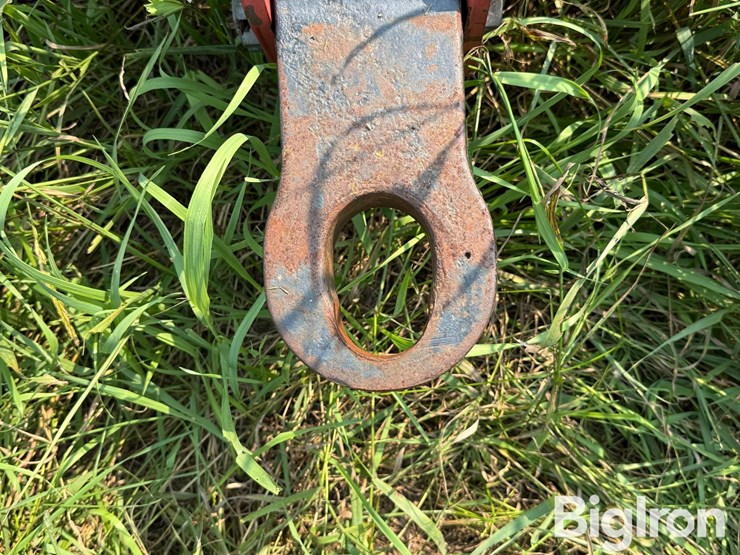 wil-rich-quad-x-image-8