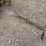 john-deere-6-image-29