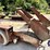 belsh-12k-t/a-equipment-trailer-image-30