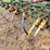 kewanee-270-image-17