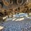 #26510-•-2006-mack-ct713-triaxle-dump-truck-image-79