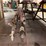 2”-x-1-1/2”-x-10’-25wd-flexrite,-hvr,-cs-parts-2-stage-w/-4’-pony-rod-image-2