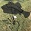 #159-•-metal-art---large-mouth-bass-welcome-sign-image-3