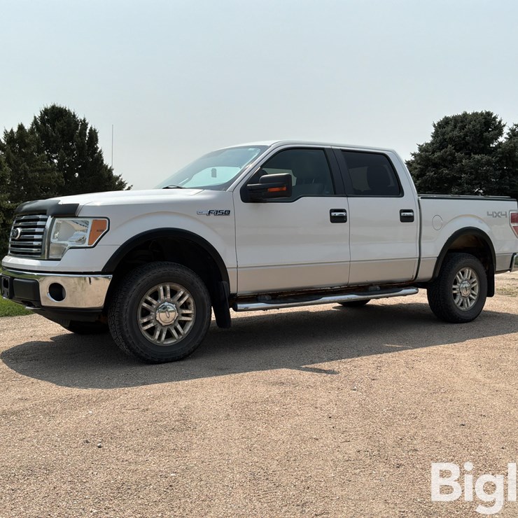 2010 FORD F150 XLT