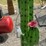 #161-•-metal-art---large-cowboy-cactus-image-2