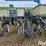 1993-kinze-2200-image-17