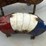 #140-•-metal-art---medium-brown-amadillop-&-small-image-2