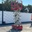 mec-scissor-lift-image-4