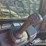 2019-deere-324g-image-26