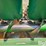 1999-john-deere-893-image-13