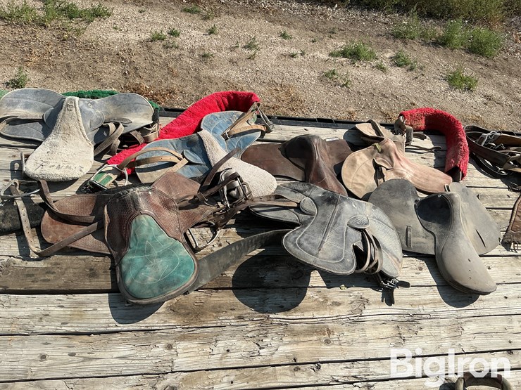 race-horse-training-saddles-image-6
