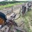 john-deere-gm-image-8