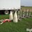 stainless-steel-tube-feeders-image-5