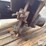 massey-ferguson-730-image-17