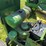 john-deere-60-image-17