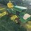 john-deere-70-image-4