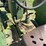 john-deere-mi-image-18