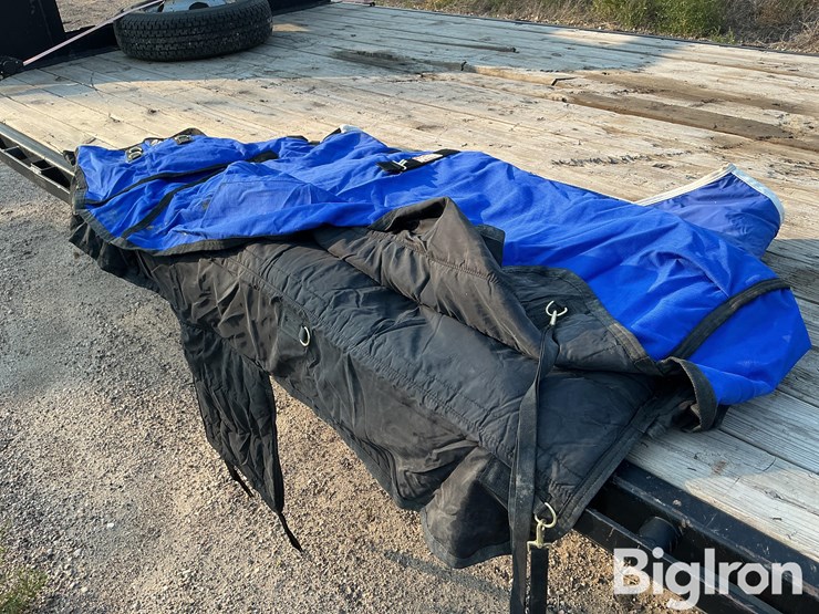 horse-turnout/stable-blankets-image-11