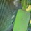 john-deere-gpwt-image-15