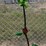 #130-•-metal-art---frog-w/umbrella-&-flowers-on-image-1