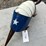 #144-•-metal-art---large-texas-armadillo-image-2