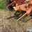 1958-allis-chalmers-d14-image-18