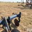 blu-jet-30’-anhydrous-applicator-image-15