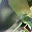 john-deere-gp-image-21