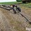 harvest-hand-25-image-3