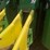 2015-john-deere-cp690-image-73