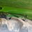 2015-john-deere-cp690-image-6
